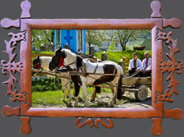 Szkolenie Plemkonecentr:Koń huculski w kulturze Karpat, Wierchnij Jaceniw w Rejonie Wierchowińskim