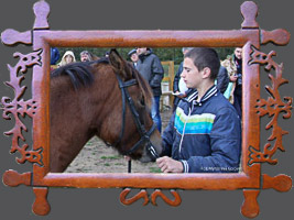 Pochodzenie, typy, kierunki selekcji i wykorzystania koni rasy huculskiej