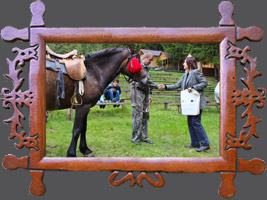 Szkolenie Plemkonecentr:Koń huculski w kulturze Karpat 2, Wierchnij Jaceniw w Rejonie Wierchowińskim