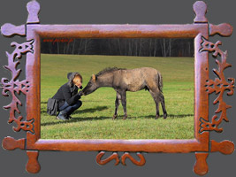 Szkolenie: Podstawowe cele, metody i zasady prowadzenia hodolwi koni rasy huculskiej