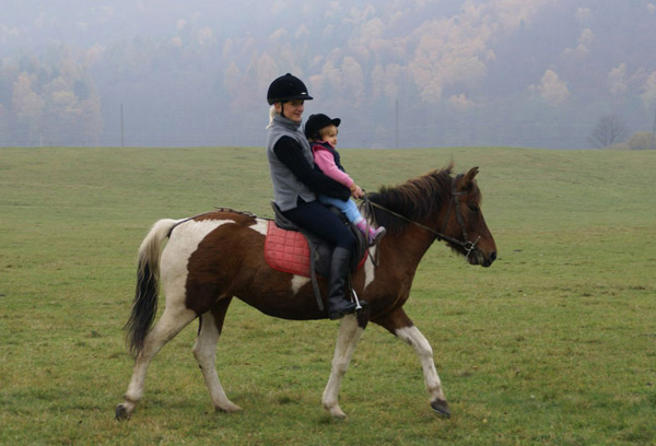Koń huculski idealny dla dzieci