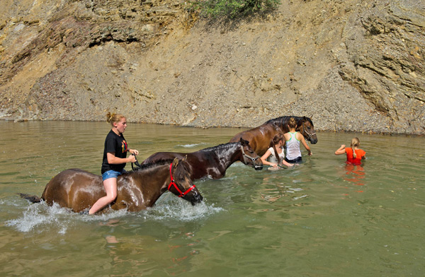 Pławienie koni w Rudawce Rymanowskiej